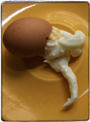 cthulhu-egg.jpg