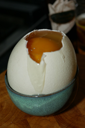 Ostrich Egg – Dead Programmer's Cafe