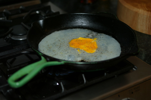 Ostrich Egg – Dead Programmer's Cafe
